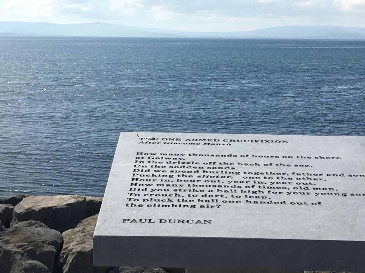 The Wave Bed & Breakfast Galway Eksteriør bilde